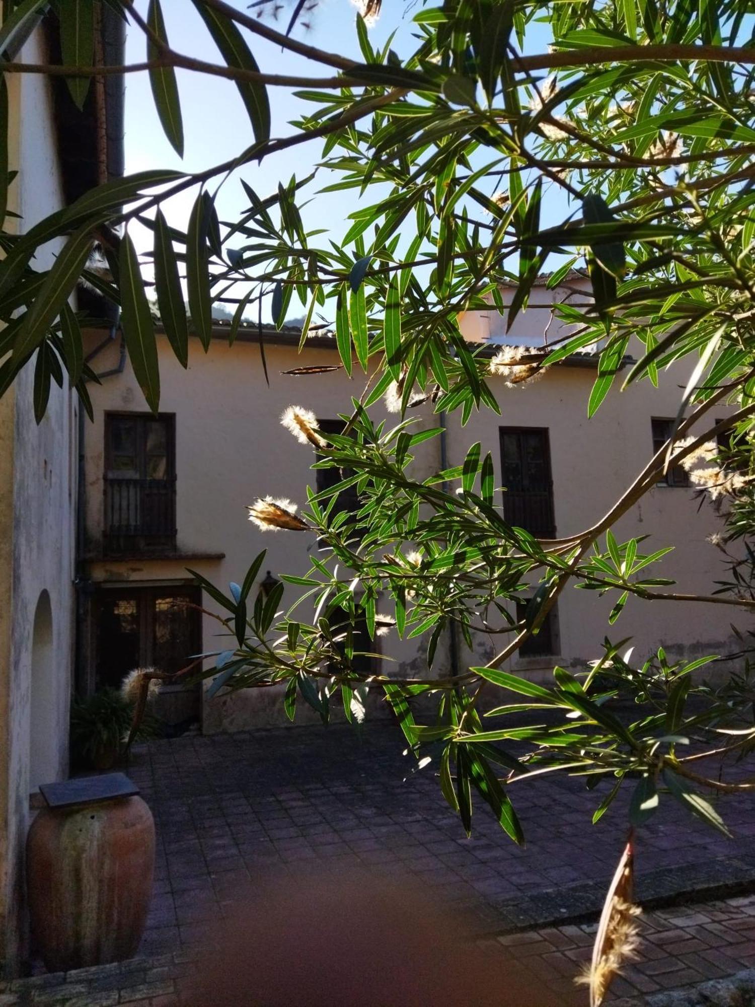 Casa Bienvenida - Carcaixent Acomodação com café da manhã Exterior foto